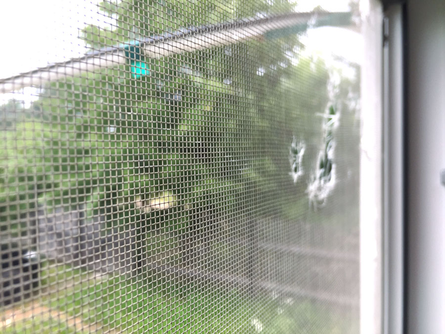 Как поменять москитную сетку на пластиковом окне?